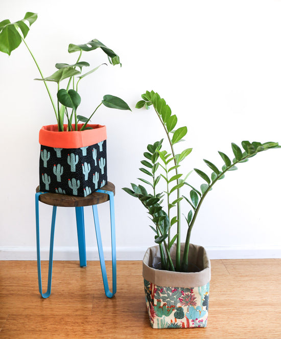 large monstera and zz plants in fabric pot plant covers 