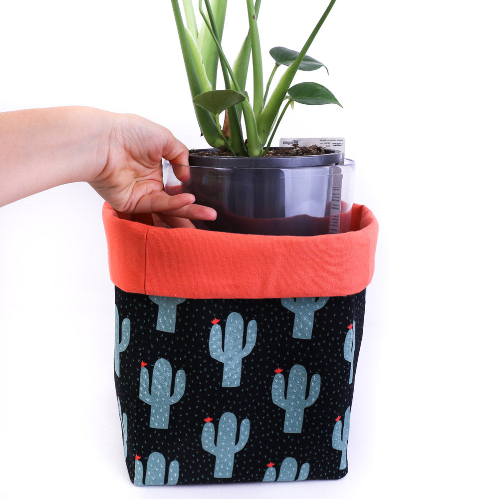cactus plant pot cover planter with clear pot and indoor monstera plant