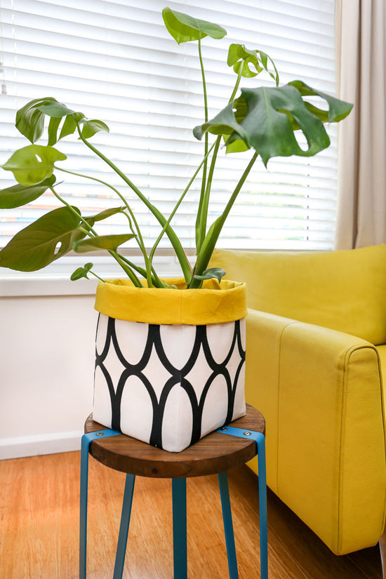 monstera-plant-in-modern-abstract-geometric-black-circle-yellow-plant-pot-cover-placed-on-a-wooden-stool-next-to-a-yellow-sofa